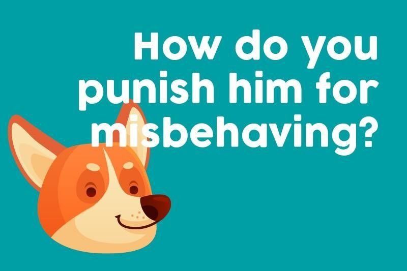 How do you punish him for misbehaving?