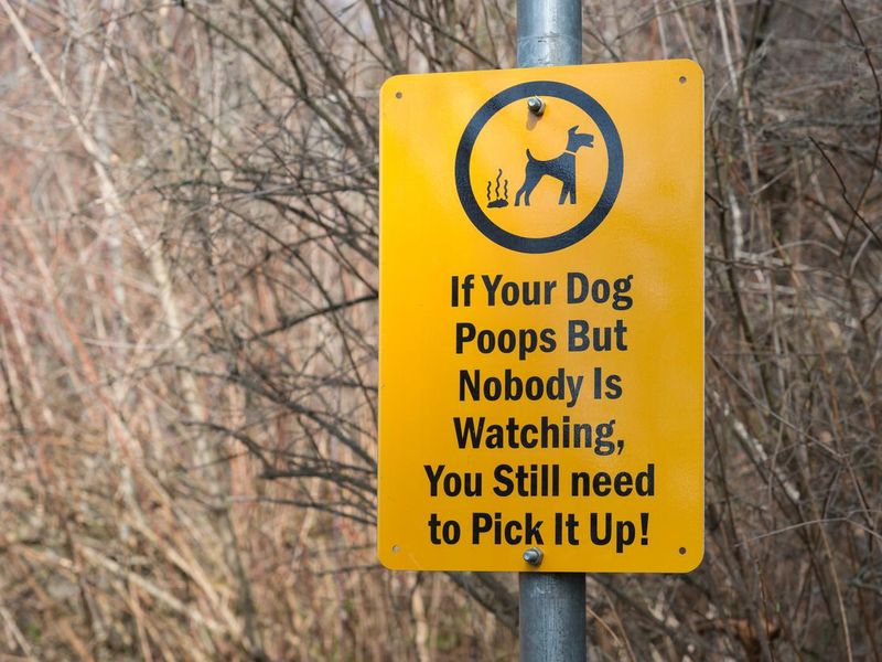 Humorous dog sign at park, reminding dog owners to pick up after their pets
