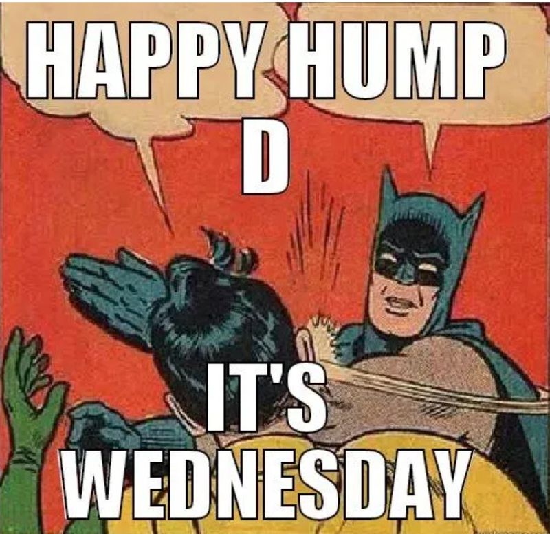 Hump day Batman meme
