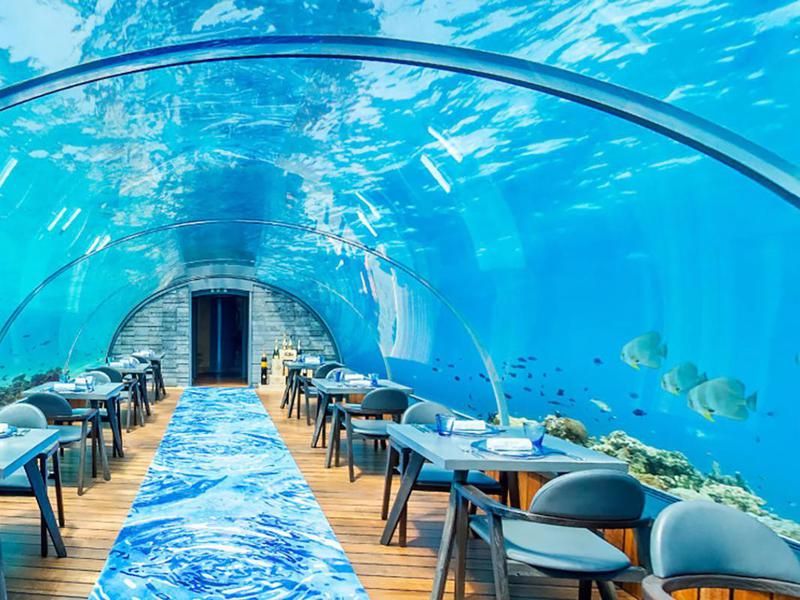 Hurawalhi’s 5.8 Undersea Restaurant