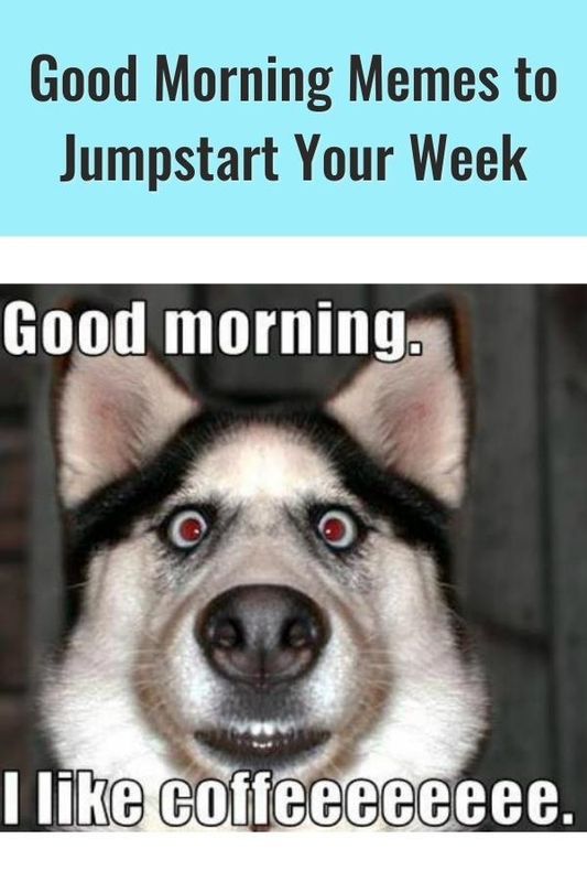 50 Good Morning Memes to Jump-Start Every Workday | Work + Money