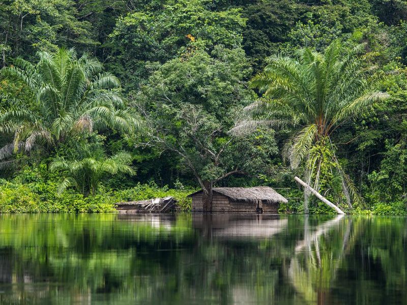 Hut at the shoreline of Congo River, Democratic Republic of the Congo