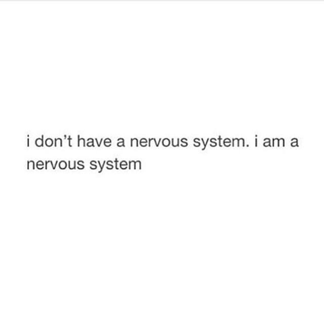 I am a nervous system