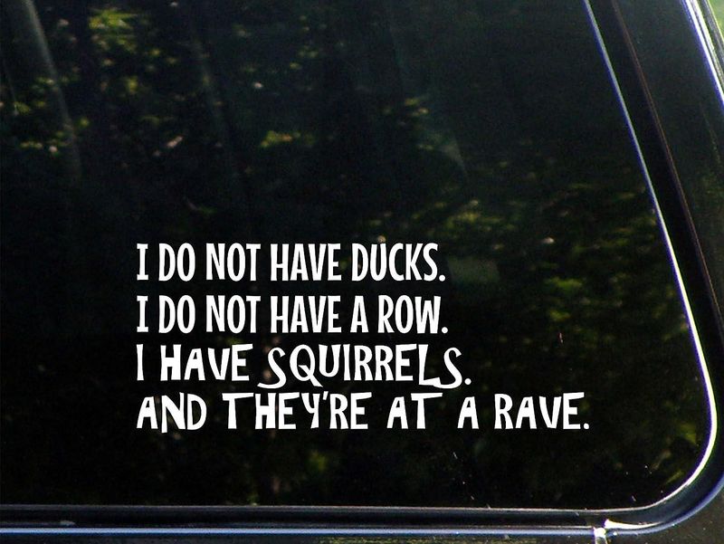 I do not have ducks funny bumper sticker