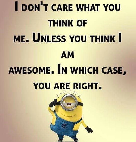 I don't care what you think of me minion meme