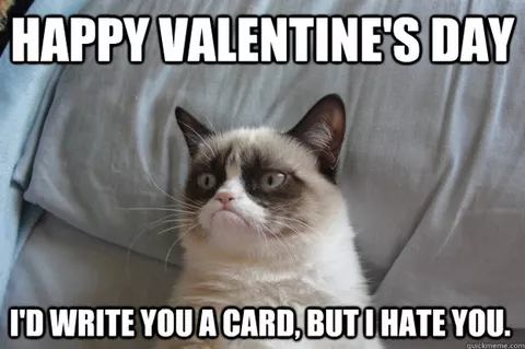 51 Funny Valentine's Day Memes Everyone Loves | FamilyMinded