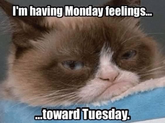 I have Monday feelings toward Tuesday