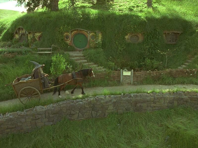Ian McKellen in The Lord of the Rings: The Fellowship of the Ring (2001)