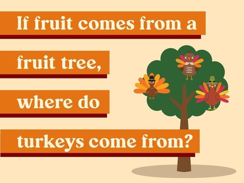 If fruit comes from a fruit tree, where do turkeys come from?