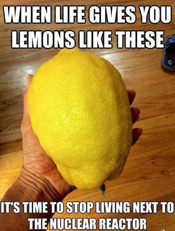 If live gives you lemons