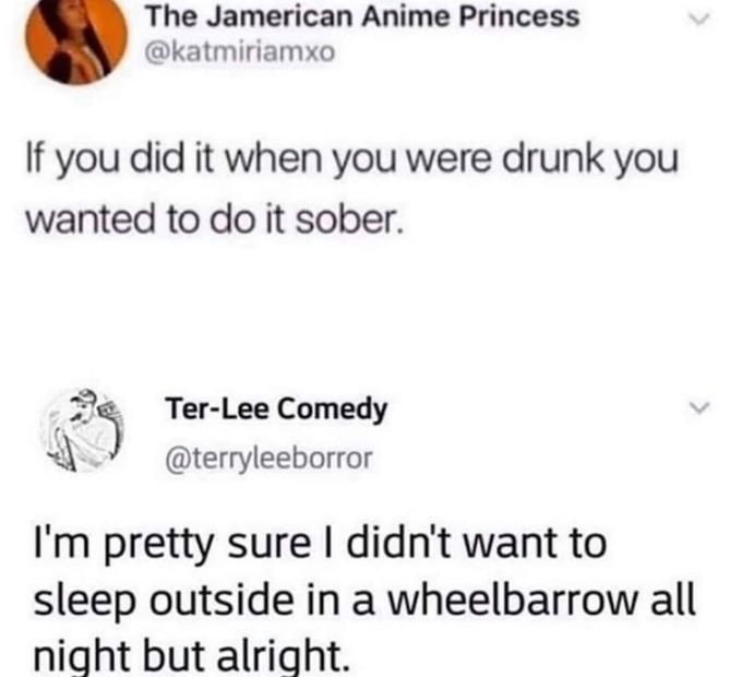 If you did it when you were drunk, you wanted to do it sober meme