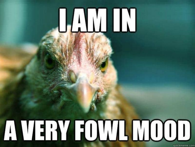 I'm in a very fowl mood