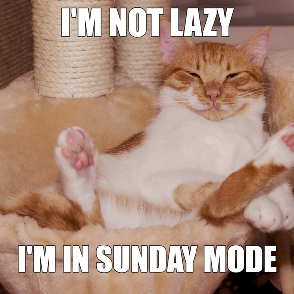 Hilarious Sunday Memes for Those Dreading the Workweek