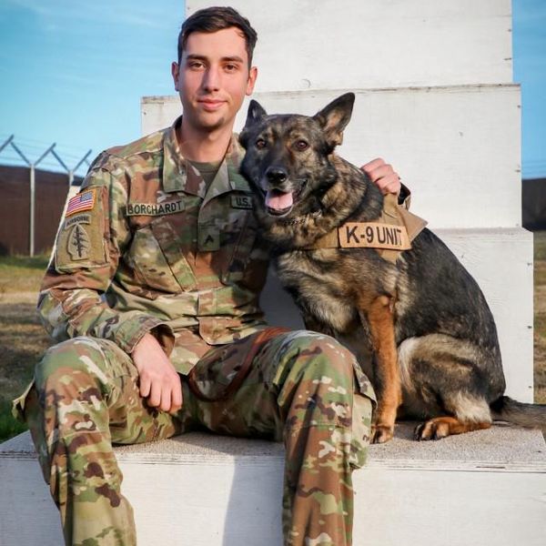 Most Famous Military and Police K-9 Dogs