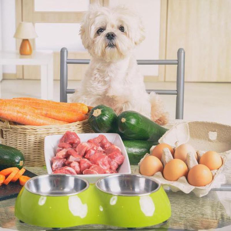 Homemade Dog Food Recipes You Could Eat Too Always Pets