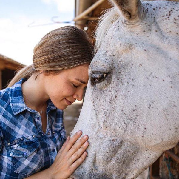 Does Your Horse Love You? Just Check for These Signs