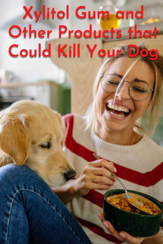 how much xylitol will kill a dog