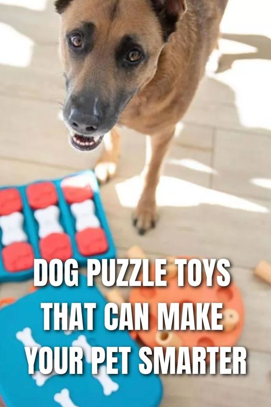 The 19 best Puzzle Toys that actually help bored dogs - Happy Dog and Cat -  Quora