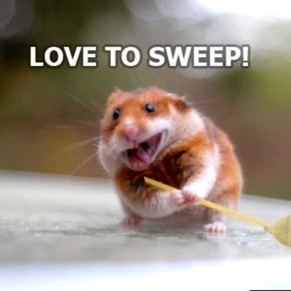 Hilarious Hamster Memes That Will Crack You Up