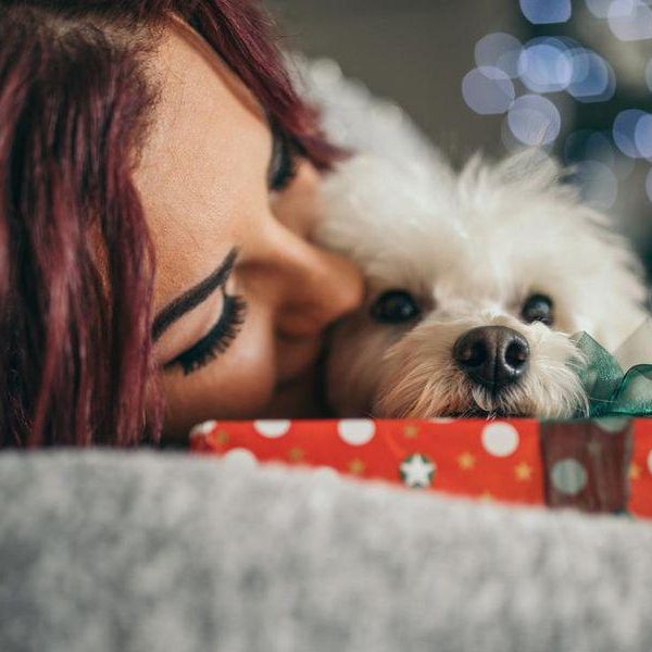 15 Epic Dog Gifts That Dog Owners Don't Already Have
