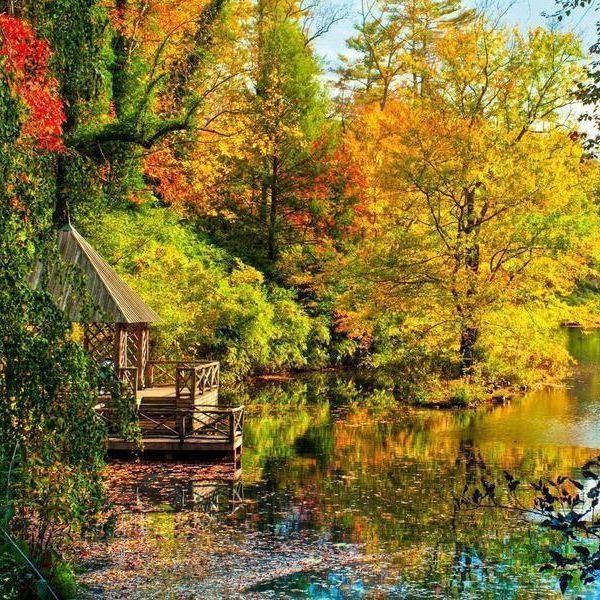 Where to Go Leaf Peeping to Spot Colorful Fall Leaves
