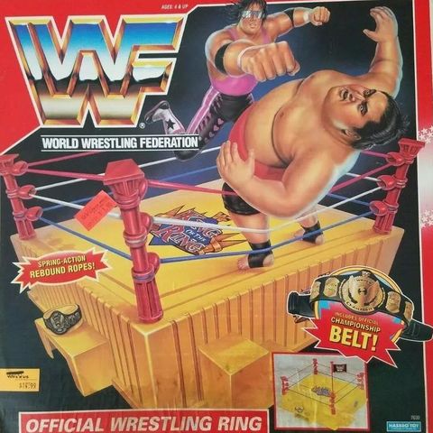 WWF WWE jakks Nikol Volkof head Wrestling Figures Wwf hasbro mattel 