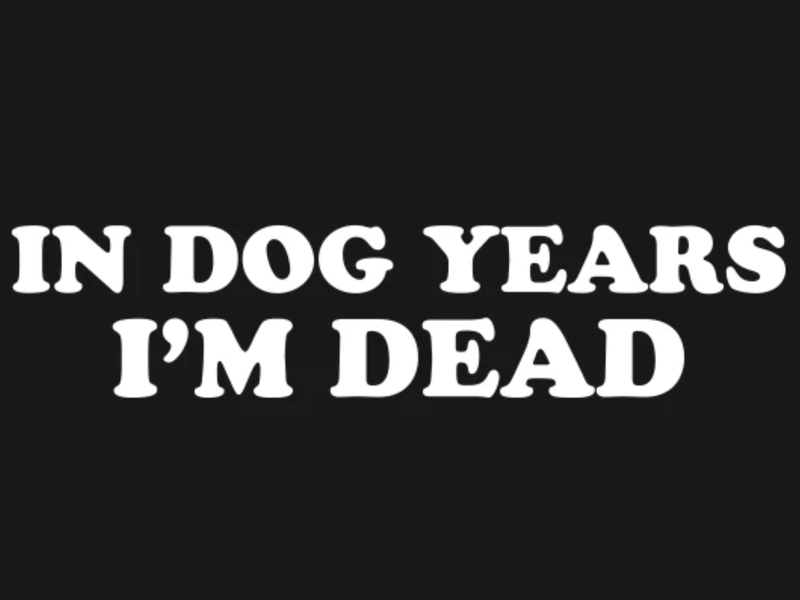 In Dog Years I'm Dead T-shirt