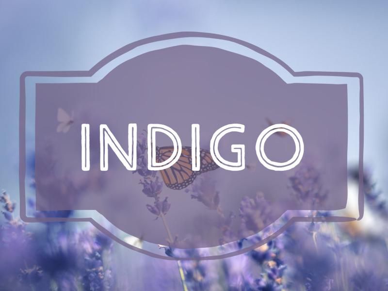 Indigo nature-inspired baby name