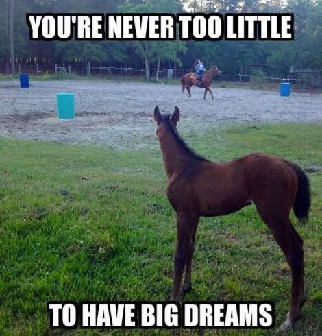 Inspirational horse meme