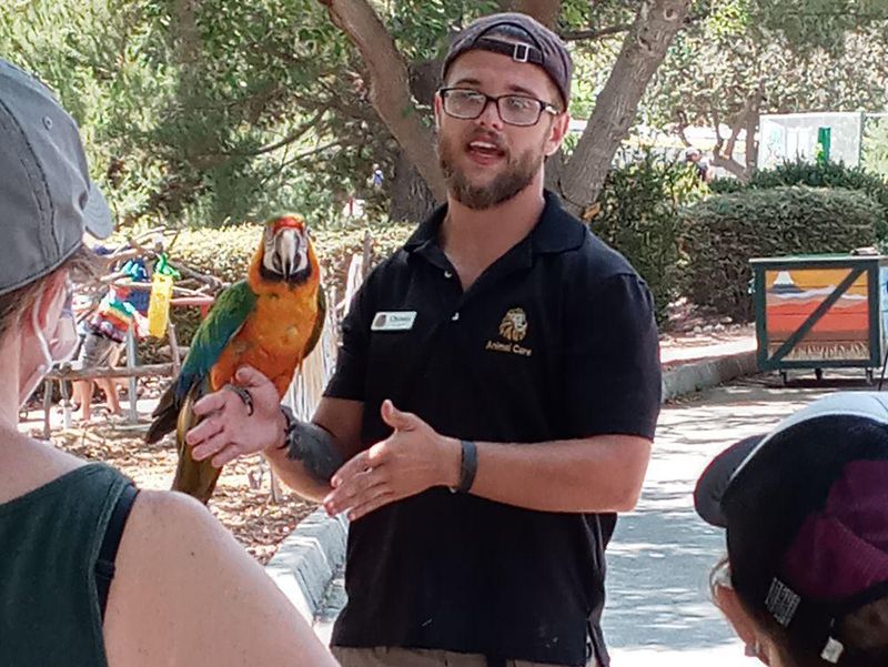 Instructor with a parrot at Moorpark Teaching Zoo