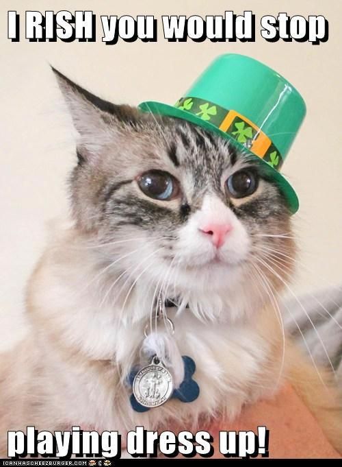 Irish cat wearing hat meme