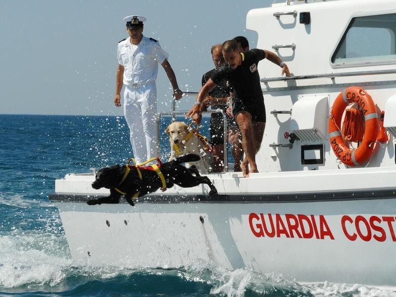Italian Coast Guard Dogs