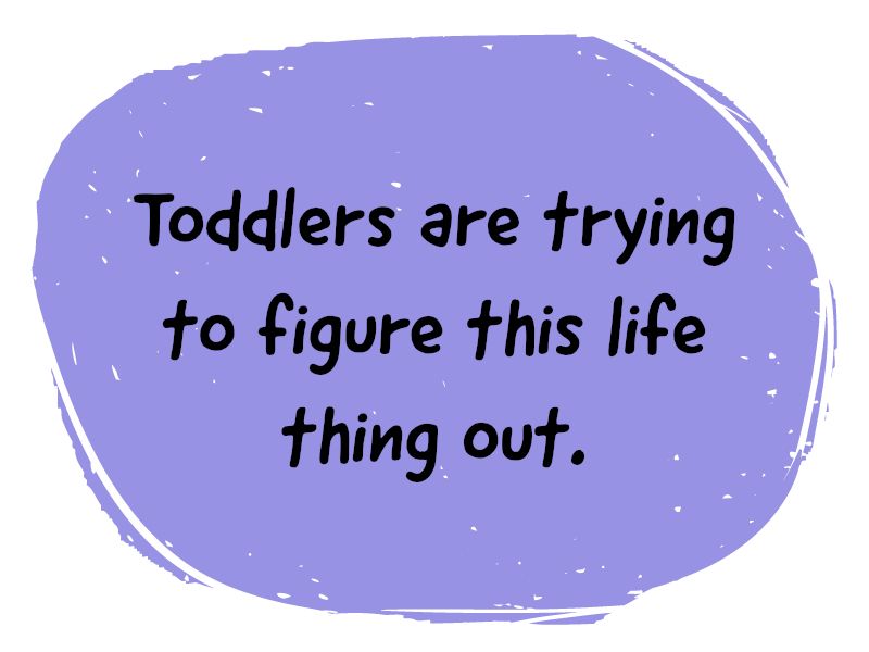 It's normal for toddlers to have tantrums