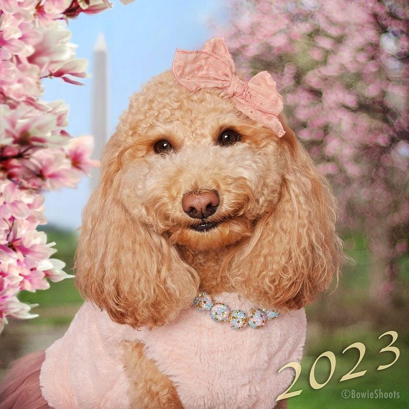 Izzy's spring portrait