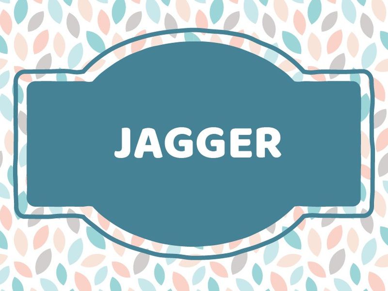 J Baby Names: Jagger