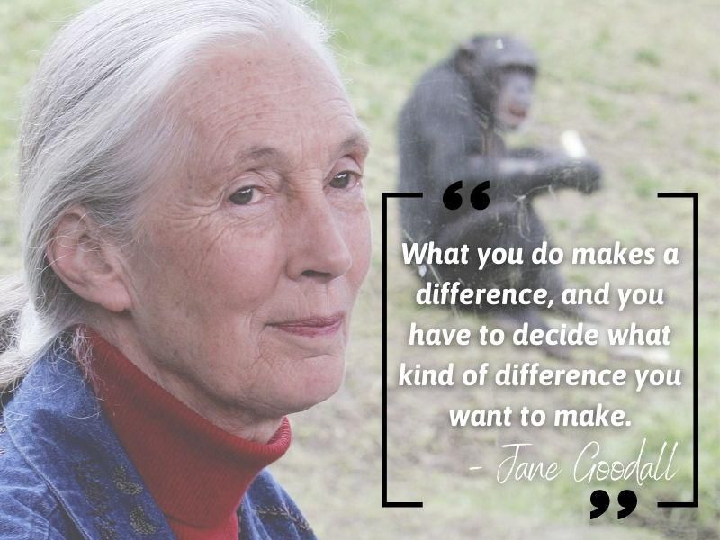 Jane Goodall quote