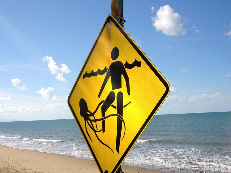 Jellyfish warning sign in Australia