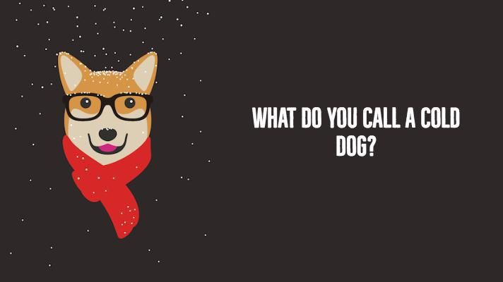 Joke: What do you call a cold dog?