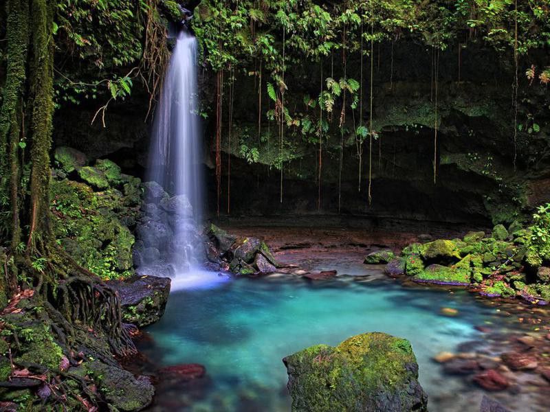 Jungle waterfall in Dominica