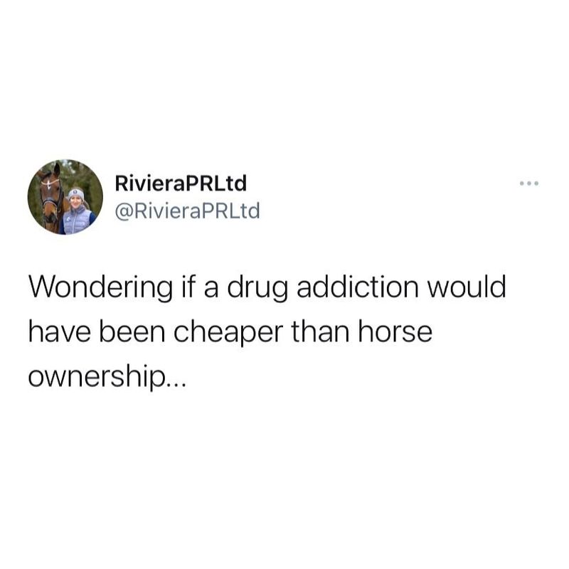 Just curious about horse ownership