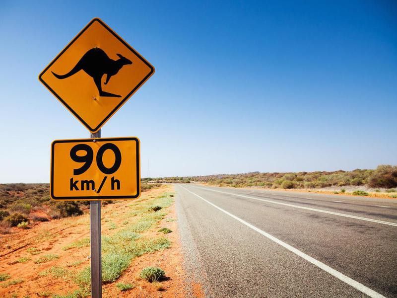 Kangaroo sign in Australia