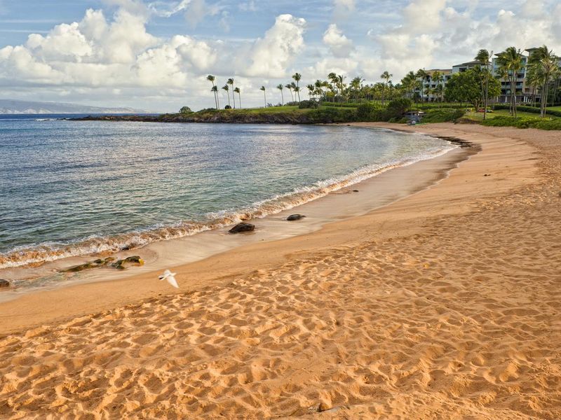 Kapalua Beach Hawaii