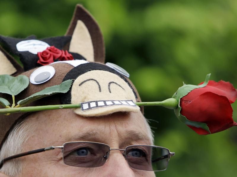 Kentucky Derby rose in a horse's mouth hat