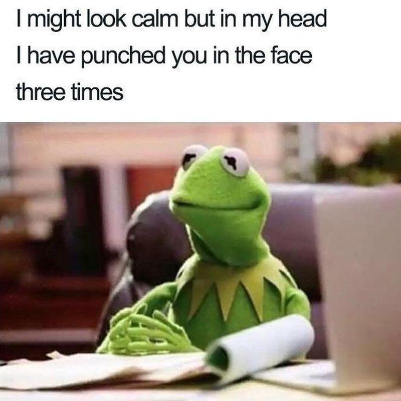 kermit the frog my face when