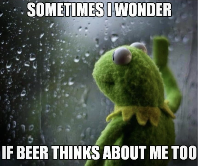 Kermit wondering if beer thinks about him too meme