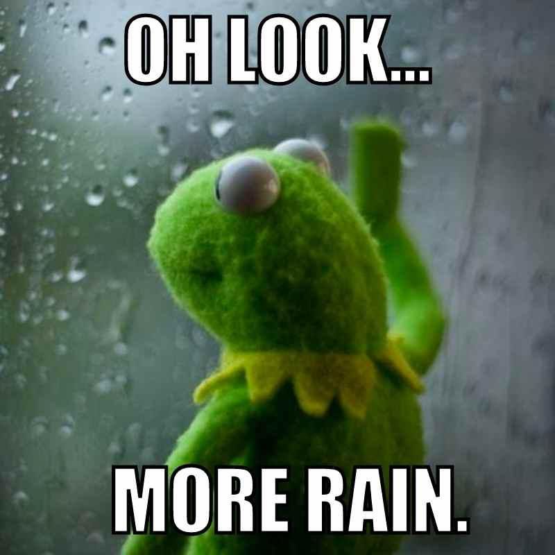 Kermit wonders what time it'll stop raining today