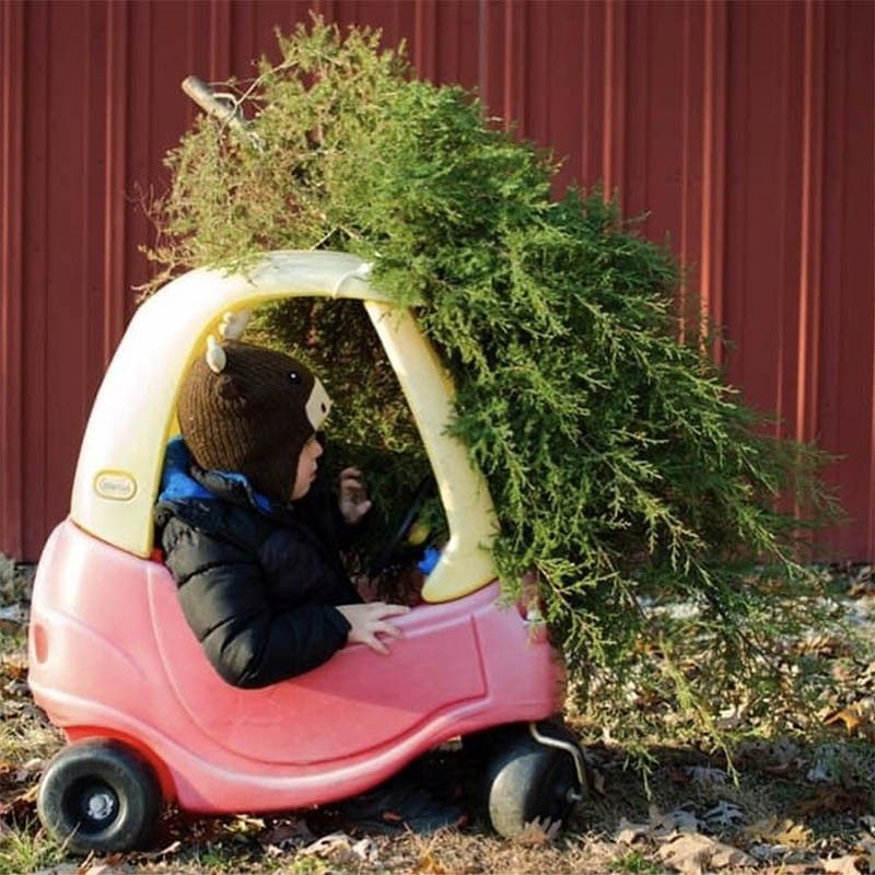 Kid drives toy car into Christmas tree