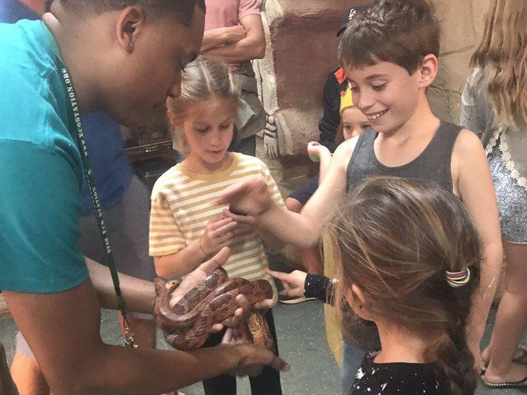 Kids petting a snake at Star Eco Station