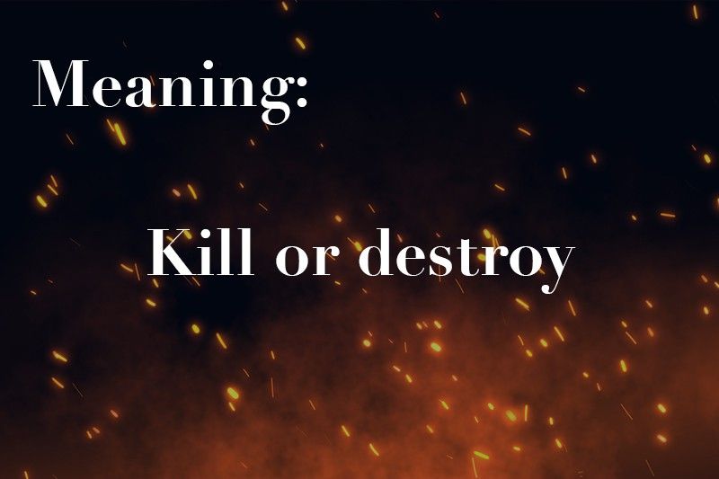 kill or destroy