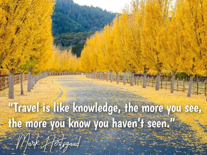 Knowledge and travel quote from Mark Hertsgaad